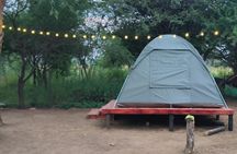 2 Day Tlou Tented Safari Camp in Pilanesberg 