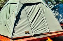 2 Day Tlou Tented Safari Camp in Pilanesberg 