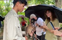 War Museum, Killing Field, and APOPO Hero RATs Tour