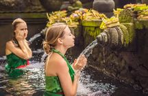 Bali Spiritual: Balinese Healing, Temple & Rice Terrace 