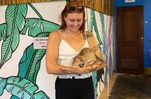War Museum, Killing Field, and APOPO Hero RATs Tour