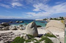 Penguins and Cape of Good Hope Private Tour Entrance fee Included