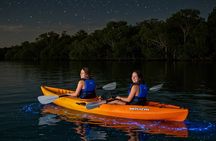 Full Clear Kayak Bioluminescent Experience Vieques, Puerto Rico