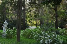 Visita Guiada Centro del Vino Sin Museo