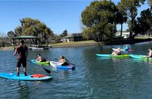 Crystal River: Three Sisters Paddleboarding and Snorkeling Tour