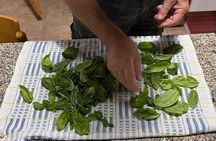 Seaside Pasta & Cooking Class with Lunch or Dinner in Abruzzo 