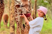 1 Day Trip to Aya Sophia Wildlife Sanctuary