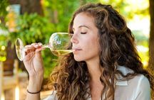 Cape Winelands and Cheetah Encounter Full Day Tour