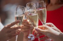 Cape Winelands and Cheetah Encounter Full Day Tour