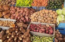 Discovery DE the real Dominican Republic EN small committee.