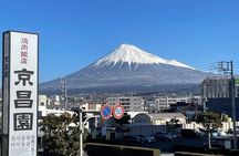 Tokyo to Mount Fuji Private Guided Experiences 