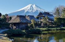 Tokyo to Mount Fuji Private Guided Experiences 