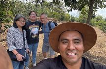 Coffee in the first capital of Guatemala