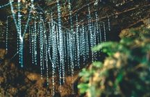 Haruru Waterfalls and Glow Worm Caves Tour