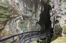 Haruru Waterfalls and Glow Worm Caves Tour