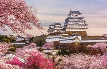 Himeji and Kobe Luxury Day Tour with Guide From Kyoto/Osaka