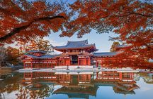 Best of Kyoto and Nara Highlights Day Tour from Osaka (7~9 spots)