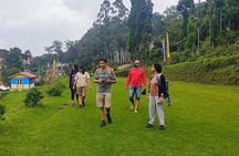 Explore Darjeeling on a Private 2 Day Tour from Kolkata