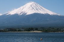 Private Car Day Tour to Mt Fuji from Tokyo