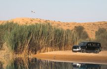 Dubai: Desert Conservation Drive & Platinum Breakfast