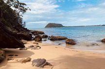 Sydney: Ku ring gai National Park Hike with Beach and Picnic