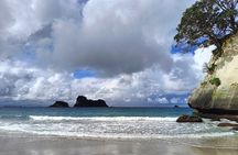 Cathedral Cove & Coromandel Private Experience from Auckland