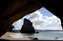 Cathedral Cove & Coromandel Private Experience from Auckland