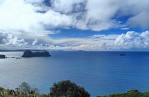 Cathedral Cove & Coromandel Private Experience from Auckland