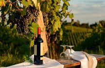 From Florence Chianti Wine Tour with Tastings Half Day