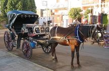 Cairo Night Walking Tour , Horse carriage And Cairo Tower 