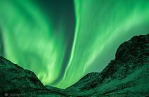 Express Aurora Hunt with Cruise Ship Pick up and Drop off