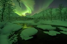 Express Aurora Hunt with Cruise Ship Pick up and Drop off