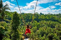 Ubud Waterfalls Water Temple and Rice Terraces Tour