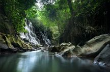 Ubud Waterfalls Water Temple and Rice Terraces Tour