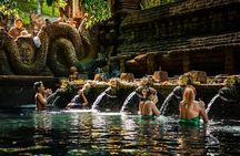 Ubud Waterfalls Water Temple and Rice Terraces Tour