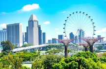 Singapore Private Customized City Tour with Driver