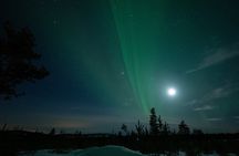 Northern Lights Chasing Tour in Rovaniemi Finnish Lapland