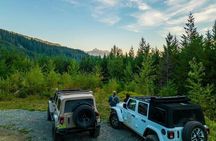 Whistler Bear Tour