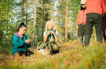 Forest Tasting Lapland Wild Berry and Mushroom Foraging