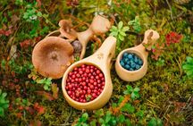Forest Tasting Lapland Wild Berry and Mushroom Foraging