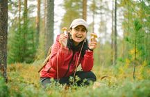 Forest Tasting Lapland Wild Berry and Mushroom Foraging