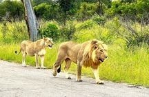 Kruger Park Sunset Drive