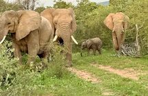 Kruger Park Sunset Drive