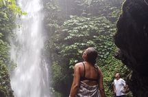Lombok Private Trip: 4 Waterfalls, Rice Fields & Jungle Trek