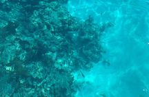 Marathon: COMBO- Snorkel & Sandbar (Sombrero Reef)