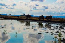 Private Safari in Mikumi National Park from Dar es Salaam