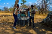 Private Safari in Mikumi National Park from Dar es Salaam