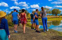 Private Safari in Mikumi National Park from Dar es Salaam
