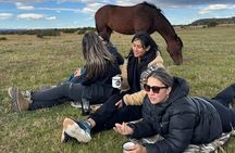 Get Down to Earth with Horses in Patagonia