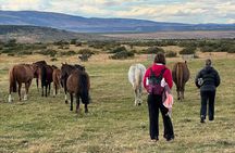 Get Down to Earth with Horses in Patagonia